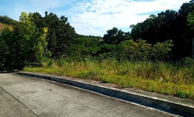 177 SQM Subdivision Lot for Sale in Upper Casili Greenville Heights Consolacion Cebu