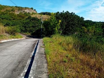 177 SQM Subdivision Lot for Sale in Upper Casili Greenville Heights Consolacion Cebu