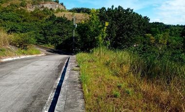 177 SQM Subdivision Lot for Sale in Upper Casili Greenville Heights Consolacion Cebu