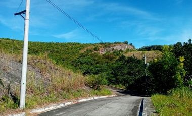 177 SQM Subdivision Lot for Sale in Upper Casili Greenville Heights Consolacion Cebu