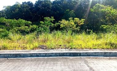 177 SQM Subdivision Lot for Sale in Upper Casili Greenville Heights Consolacion Cebu
