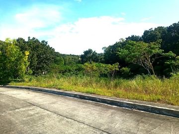 177 SQM Subdivision Lot for Sale in Upper Casili Greenville Heights Consolacion Cebu