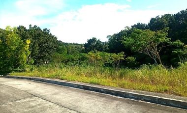 177 SQM Subdivision Lot for Sale in Upper Casili Greenville Heights Consolacion Cebu