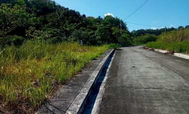 177 SQM Subdivision Lot for Sale in Upper Casili Greenville Heights Consolacion Cebu