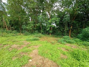 Kavling Tanah Murah Strategis dengan DP 5 Juta dekat Bukit Indah
