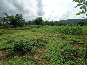 Kavling Tanah Murah Strategis dengan DP 5 Juta dekat Bukit Indah