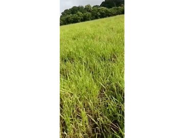 VENDO TERRENO DE 1117m2, EN EL ESPINO