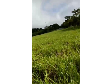 VENDO TERRENO DE 1117m2, EN EL ESPINO