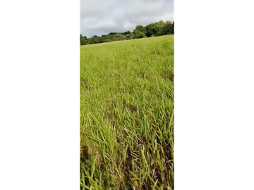 VENDO TERRENO DE 1117m2, EN EL ESPINO