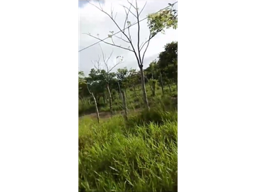 VENDO TERRENO DE 1117m2, EN EL ESPINO