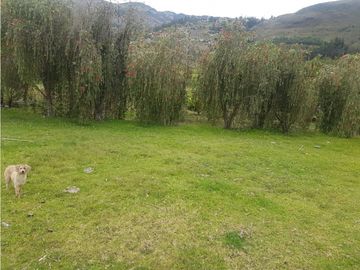 Hacienda con casa y terreno en venta tipo quinta en paute