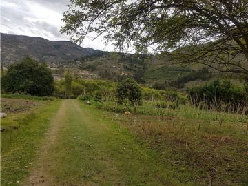 Hacienda con casa y terreno en venta tipo quinta en paute