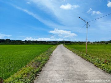 TANAH KAVLING PURWOREJO 80 JT-AN DEKAT STASIUN JENAR