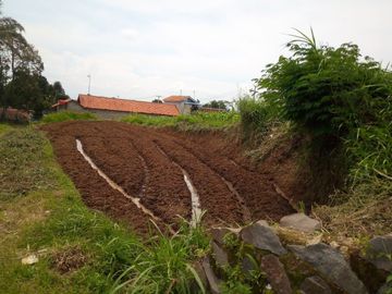 300 Tumbak Kebun View Bagus Pinggir Jalan Mekarsari Cijamil, Bandung Barat