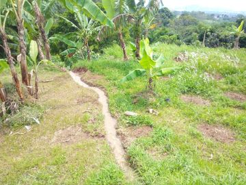 300 Tumbak Kebun View Bagus Pinggir Jalan Mekarsari Cijamil, Bandung Barat