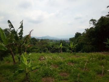 300 Tumbak Kebun View Bagus Pinggir Jalan Mekarsari Cijamil, Bandung Barat