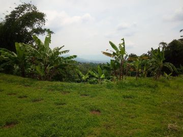 300 Tumbak Kebun View Bagus Pinggir Jalan Mekarsari Cijamil, Bandung Barat