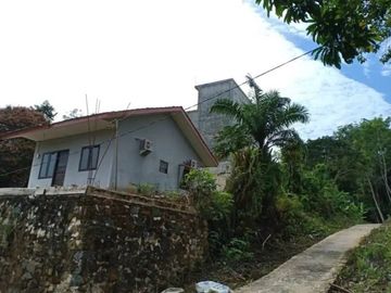 Rumah dan Sarang Burung Walet di Kotabaru Kalimantan Selatan