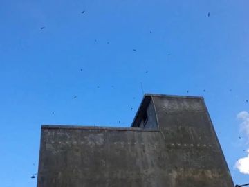 Rumah dan Sarang Burung Walet di Kotabaru Kalimantan Selatan