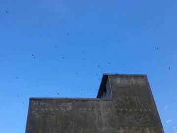 Rumah dan Sarang Burung Walet di Kotabaru Kalimantan Selatan