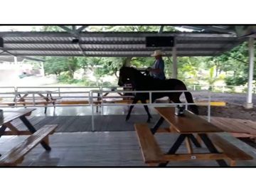 VENDO CABAÑA, RESTAURANTE Y TERRENO DE 5000M2 INTERAMERICANA