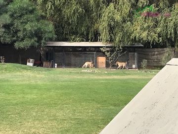 Casa en venta en Talagante