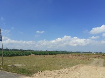 Tanah Kavling Siap Bangun MUrah Jember