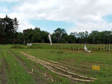 Sisa 4 UNIT! Buruan Beli Rumah Etnik Jawa di Prambanan