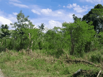 Investasi Tanah 1776m2 Di Sleman Utara Cocok Kavling Dan Villa