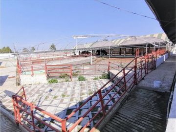 Rancho En Acatlán, Hidalgo (producción Ganadera Y de Queso).