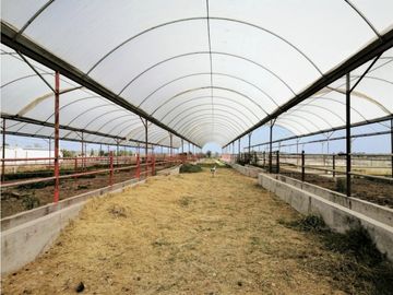 Rancho En Acatlán, Hidalgo (producción Ganadera Y de Queso).