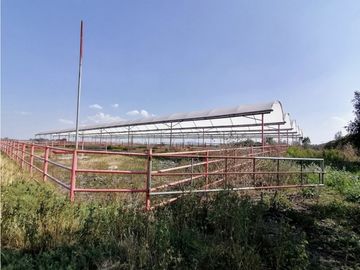 Rancho En Acatlán, Hidalgo (producción Ganadera Y de Queso).