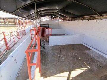 Rancho En Acatlán, Hidalgo (producción Ganadera Y de Queso).