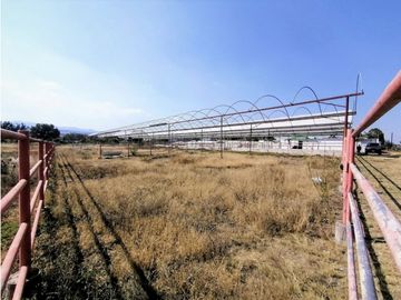 Rancho En Acatlán, Hidalgo (producción Ganadera Y de Queso).