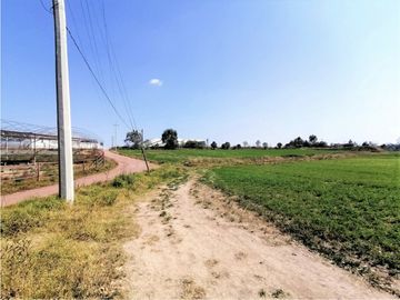 Rancho En Acatlán, Hidalgo (producción Ganadera Y de Queso).