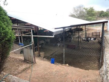 CASA  EN TULANCINGO