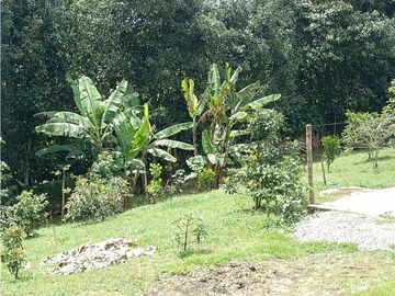 SE VENDE PARCELA 2.000 MTS2 EN LOMA DE LÚLIGO POR LA ENTRADA VEREDA CALIBIO A UN KM DE LA VIA PRINCIPAL PANAMERICANA POPAYAN CALI