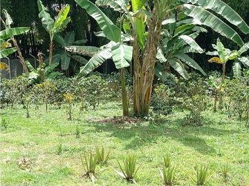 SE VENDE PARCELA 2.000 MTS2 EN LOMA DE LÚLIGO POR LA ENTRADA VEREDA CALIBIO A UN KM DE LA VIA PRINCIPAL PANAMERICANA POPAYAN CALI