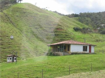 Venta finca vereda Santa Bárbara San Pedro