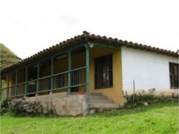 Venta finca vereda Santa Bárbara San Pedro