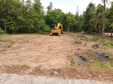 Tanah Strategis 700 m Jalan Raya Bomang