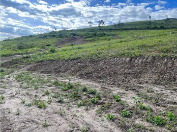 Terreno en venta sector Yaguarcocha db