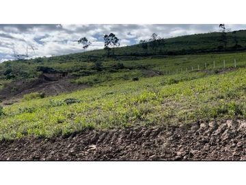 Terreno en venta sector Yaguarcocha db