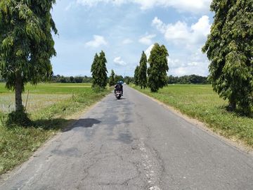 Tanah Dijual SHM Luasan Standart Dekat Puskesmas Ngombol
