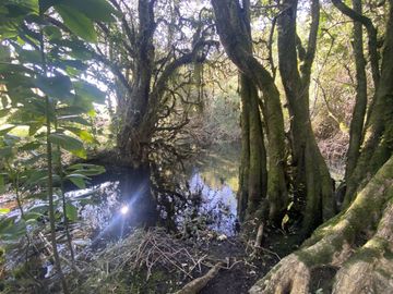 Terreno con borde rio y casa vista al lago