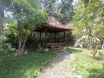Dijual Villa Joglo di Cangkringan Halaman Luas Ada Gazebo