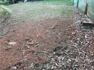 VENDO LOTE MEDIO  DAPA