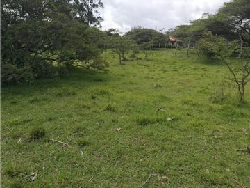 VENDO TERRENO PUEMBO USO MULTIPLE 7.152 M2 PLANOS SECTOR COLEGIOS
