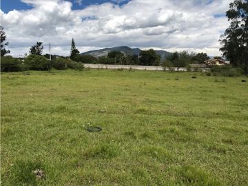 VENDO TERRENO PUEMBO USO MULTIPLE 7.152 M2 PLANOS SECTOR COLEGIOS