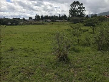 VENDO TERRENO PUEMBO USO MULTIPLE 7.152 M2 PLANOS SECTOR COLEGIOS